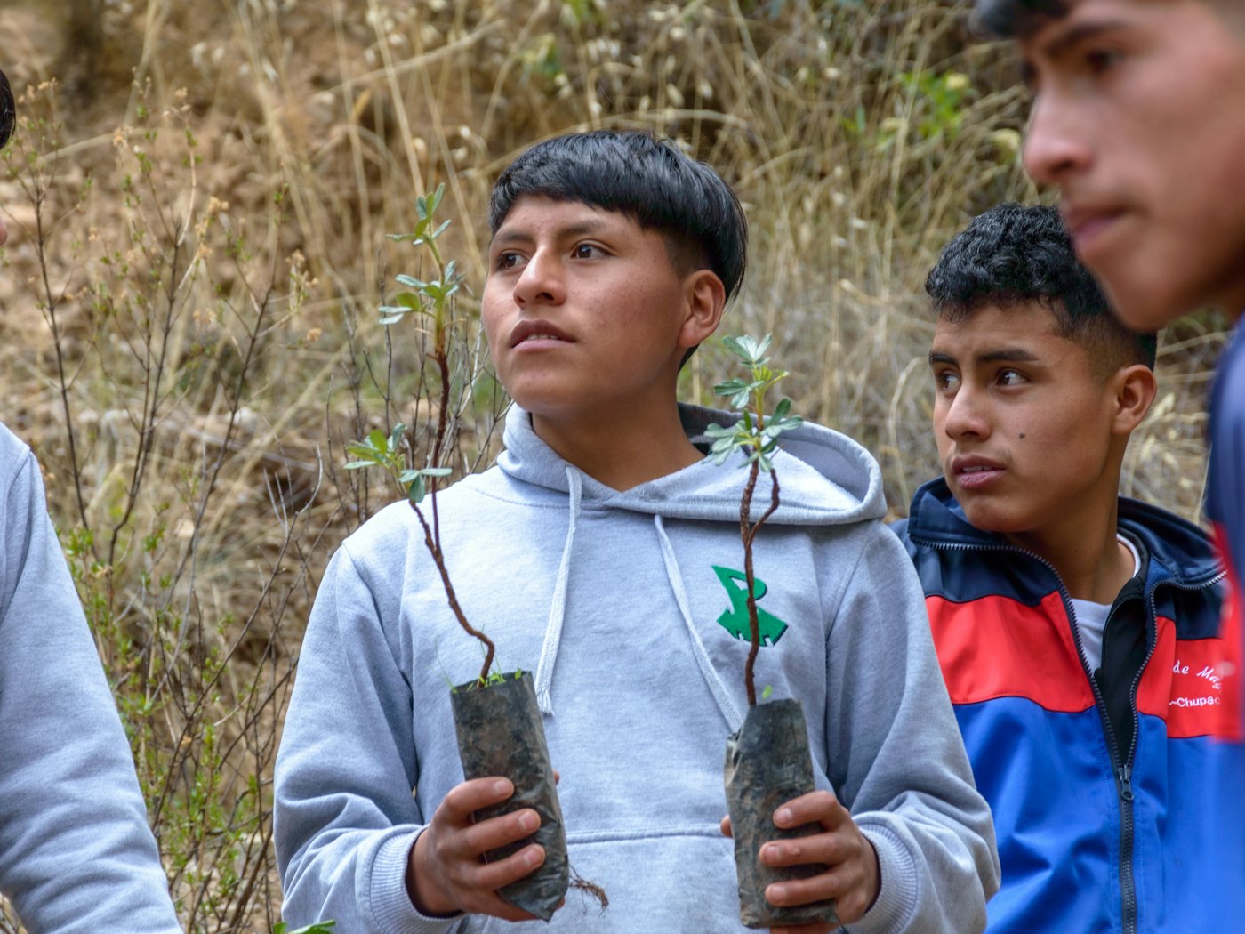 Two teenagers holding young saplings ready for planting